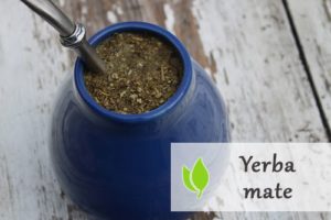 Yerba mate - wszystko co warto wiedzieć