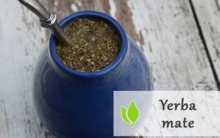 Yerba mate - wszystko co warto wiedzieć