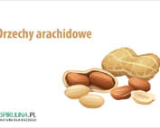 Orzechy arachidowe