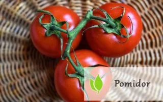 Pomidor - moc witamin i minerałów