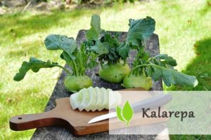 Kalarepa - jak wpływa na zdrowie człowieka?