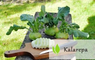 Kalarepa - jak wpływa na zdrowie człowieka?