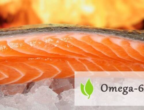 Kwasy tłuszczowe omega-6