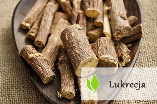 Lukrecja – właściwości i zastosowanie Lukrecja - właściwości i zastosowanie