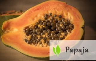Papaja - jakie wartości odżywcze posiada?