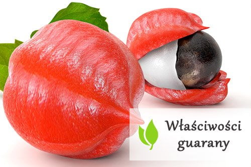 Właściwości guarany Właściwości guarany
