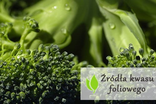 Źródła kwasu foliowego – gdzie go szukać?