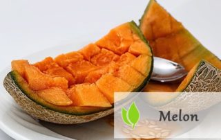 Melon - właściwości i zastosowanie