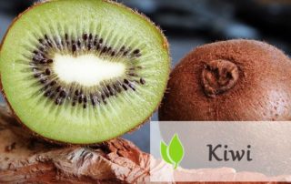 Kiwi - jakie właściwości wykazuje ten owoc?
