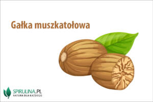 Gałka muszkatołowa