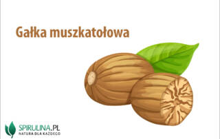 Gałka muszkatołowa