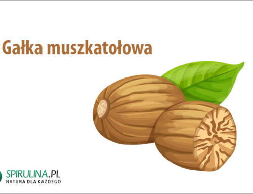 Gałka muszkatołowa