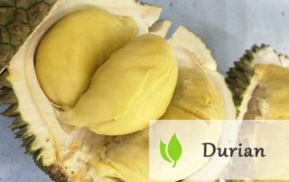 Durian - śmierdzący owoc tropikalny