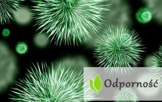Jak naturalnie wzmocnić odporność organizmu?