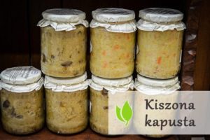 Kiszona kapusta - właściwości i zastosowanie