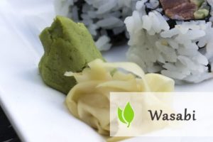 Wasabi - właściwości i zastosowanie