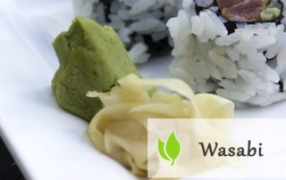 Wasabi - właściwości i zastosowanie