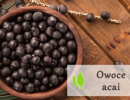 Owoce acai – właściwości i zastosowanie