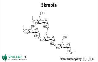 Skrobia