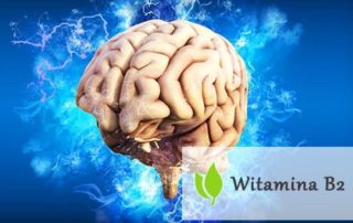 Witamina B2 - działanie, źródła i skutki niedoboru