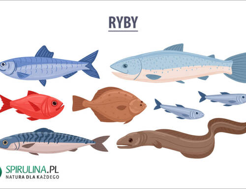Ryby