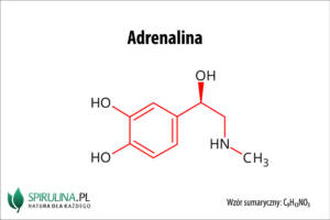 Adrenalina