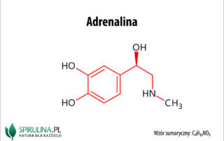 Adrenalina