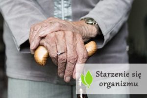 Proces starzenia się organizmu