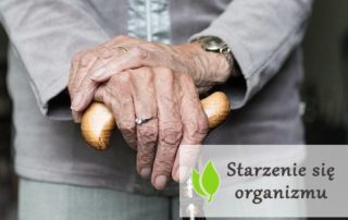 Proces starzenia się organizmu