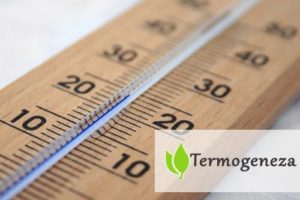 Termogeneza