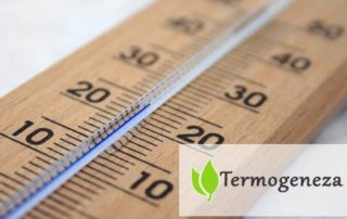 Termogeneza