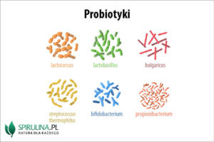 probiotyki