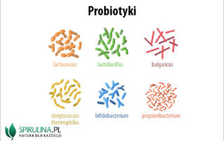 probiotyki