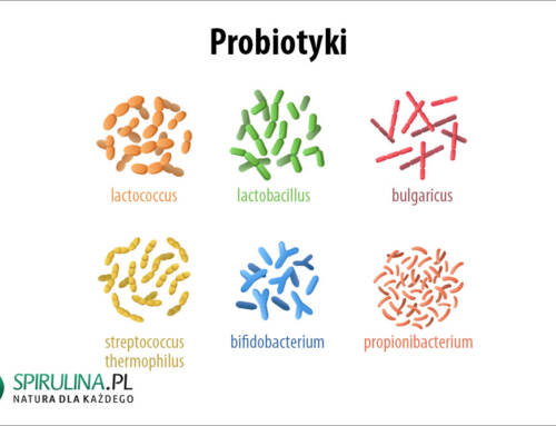 Probiotyki