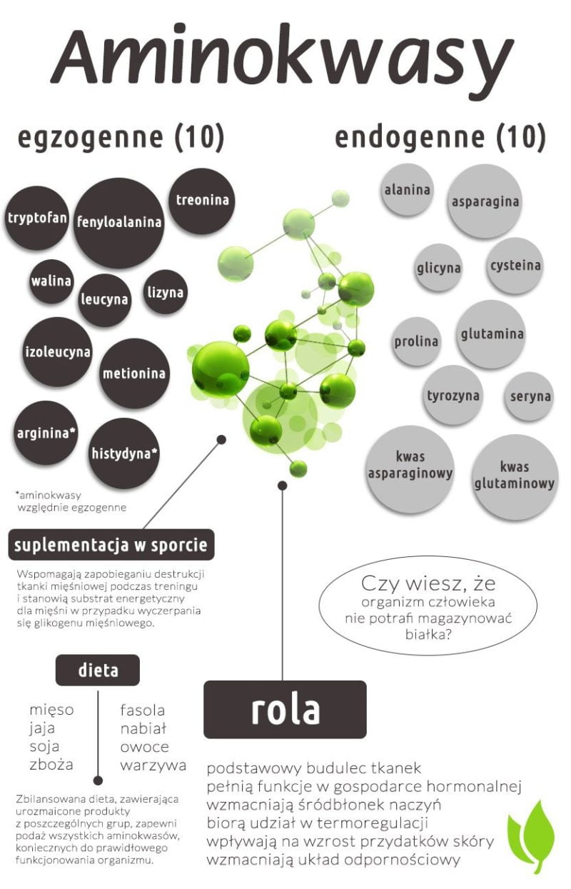Budowa I Właściwości Aminokwasów Aminokwasy - podział i rola - algi Spirulina i Chlorella