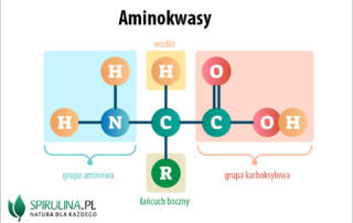 Aminokwasy