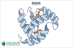 Białka