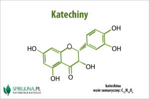 Katechiny