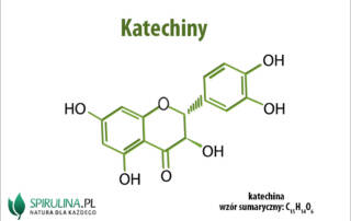 Katechiny