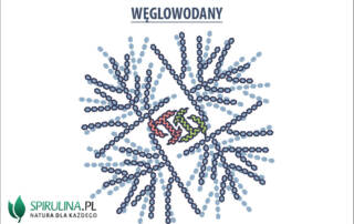 Węglowodany