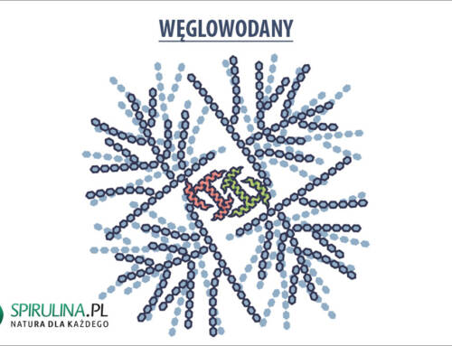 Węglowodany