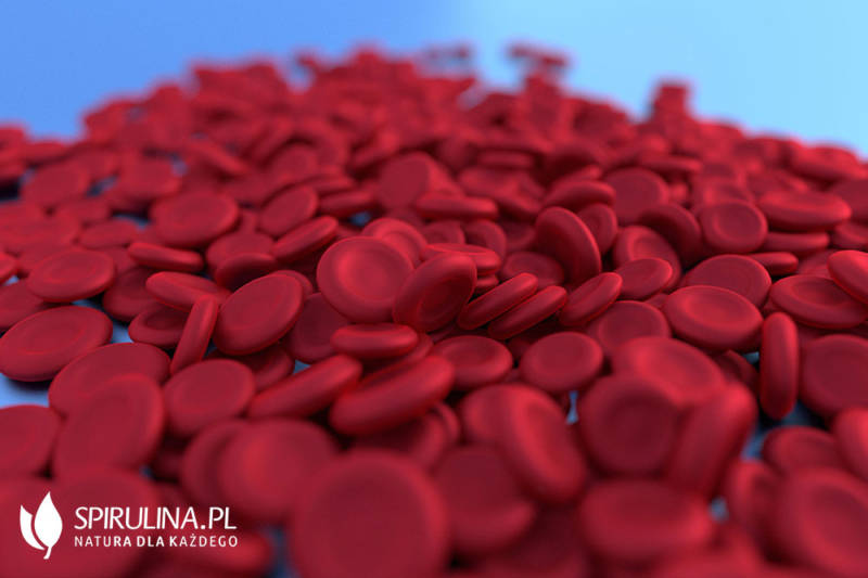 Hemoglobina algi Spirulina i Chlorella