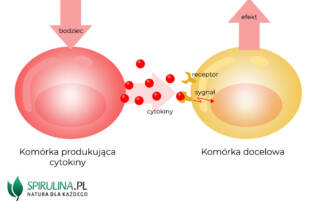 Cytokiny