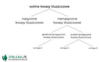 Wolne kwasy tłuszczowe