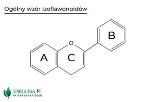 Izoflawonoidy