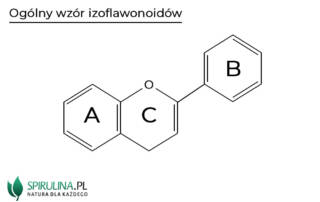 Izoflawonoidy