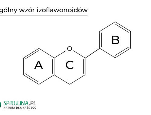 Izoflawonoidy
