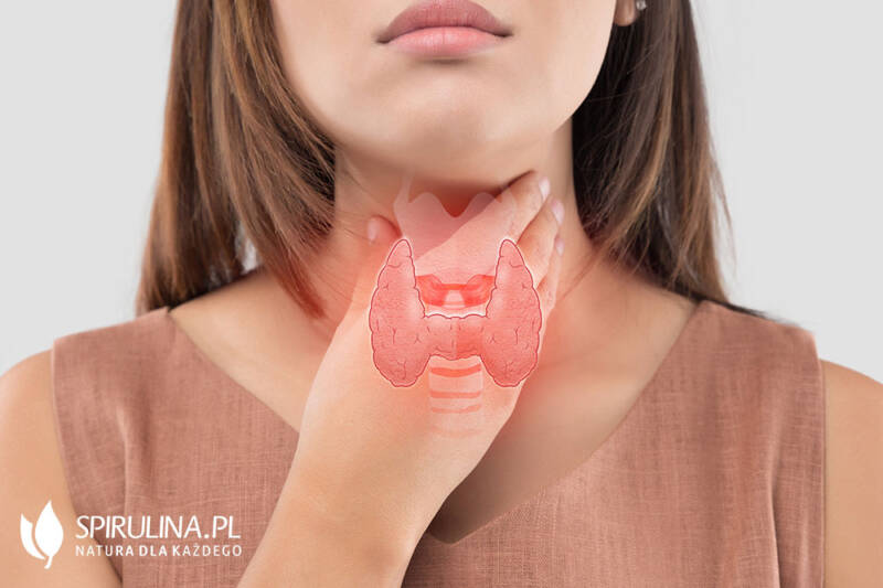 Choroba Hashimoto algi Spirulina i Chlorella