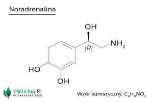 Noradrenalina