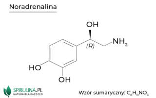 Noradrenalina